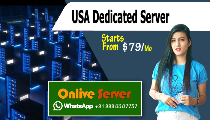 USA Dedicated Server Hosting Are Cost-Effective Solution By Onlive Server