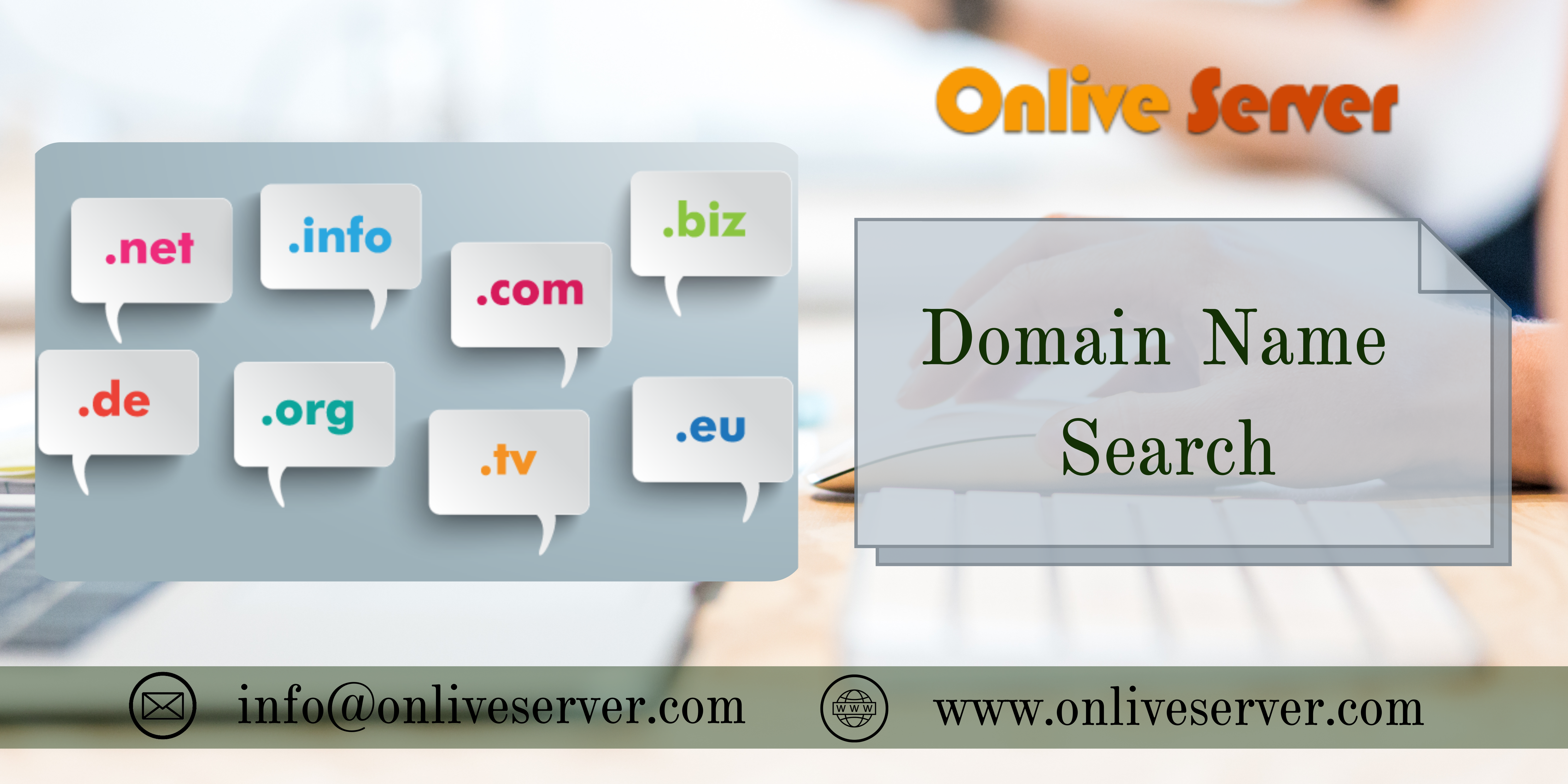 Domain Name Search